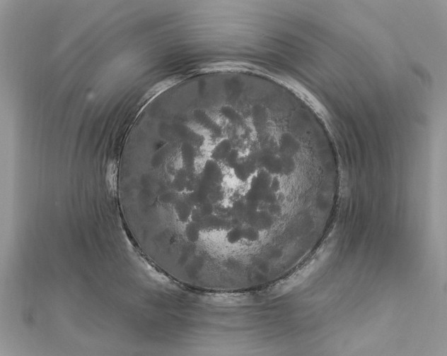 X0000112820953200909041512