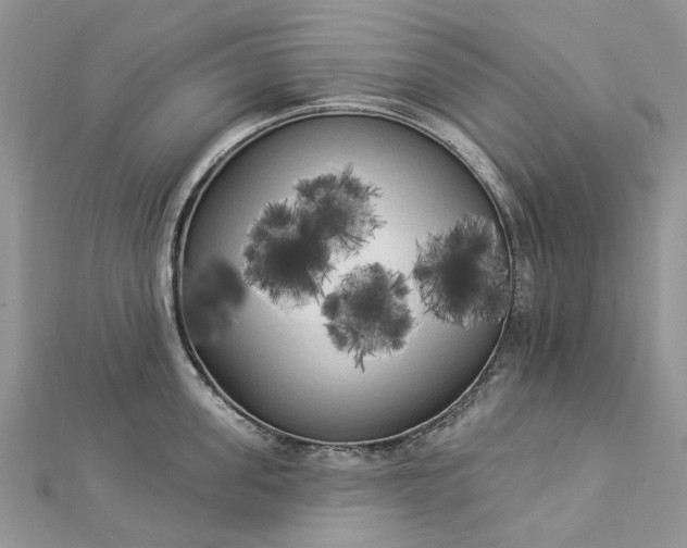 X0000112820955200909041512