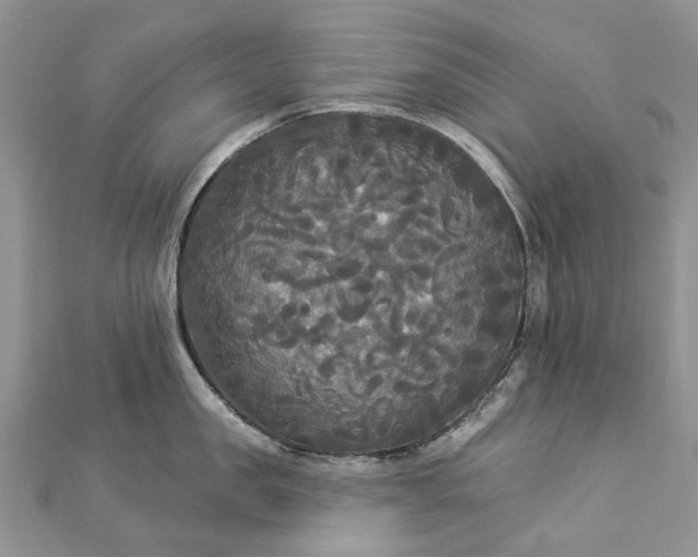 X0000112820957200909041512