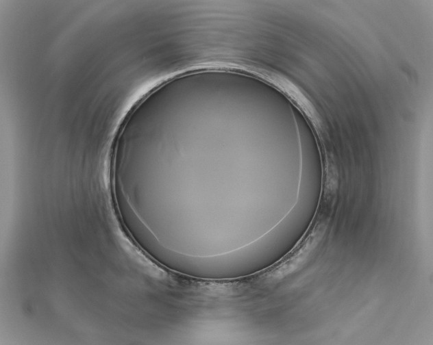 X0000112820958200909041512