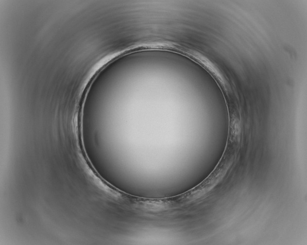 X0000112820959200909041512