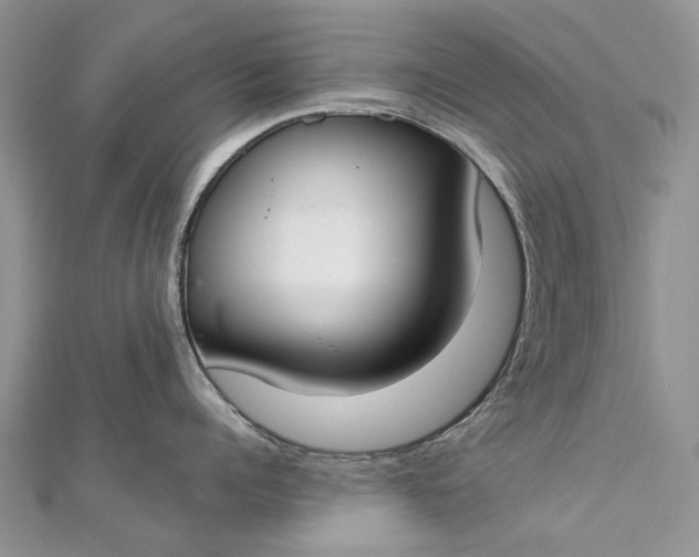 X0000112820960200909041512