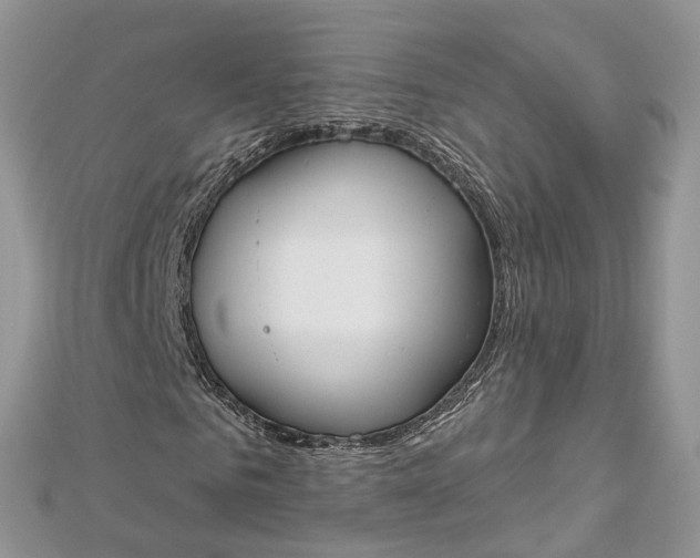 X0000112820961200909041511