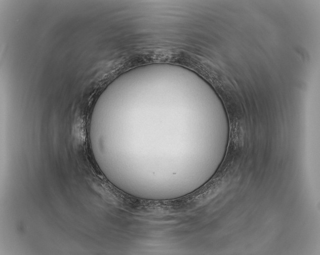 X0000112820962200909041511