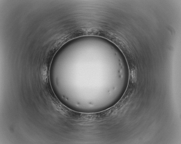 X0000112820963200909041511