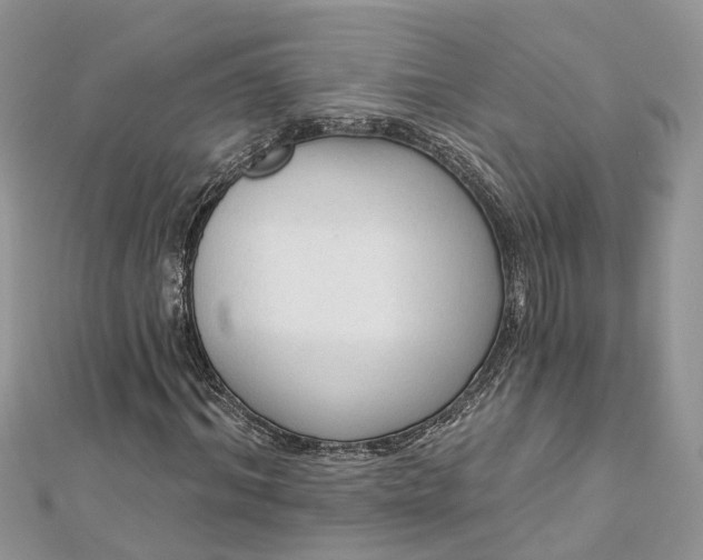 X0000112820964200909041511