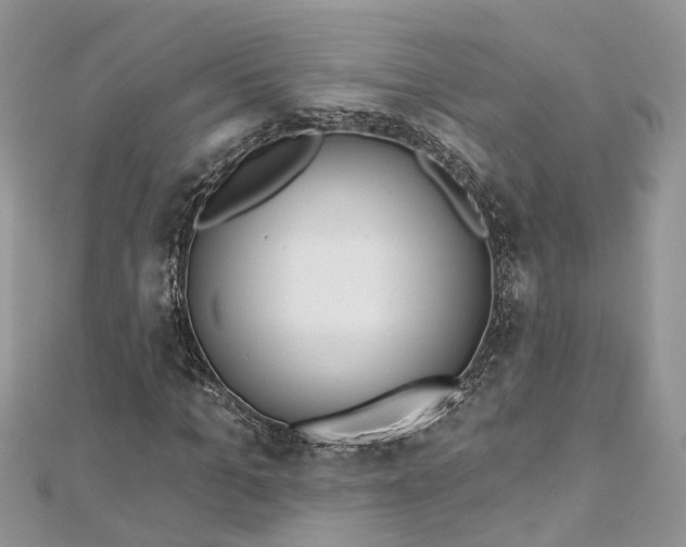 X0000112820965200909041511