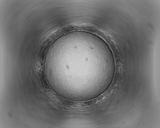 X0000112820966200909041511