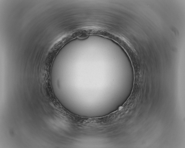 X0000112820967200909041511