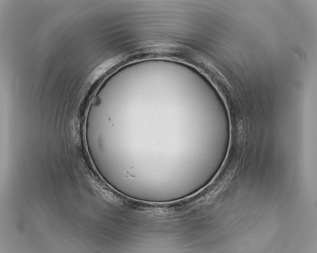 X0000112820970200909041511