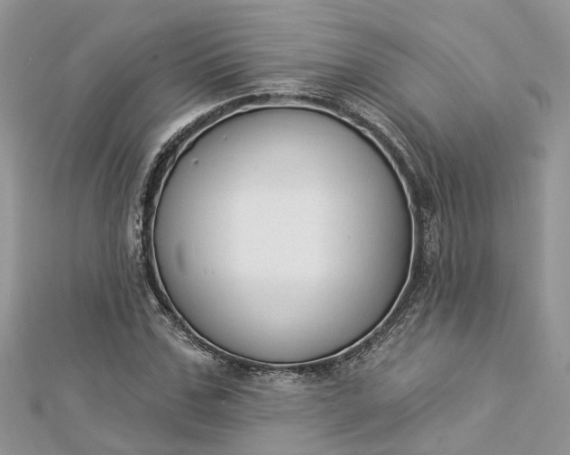 X0000112820971200909041511