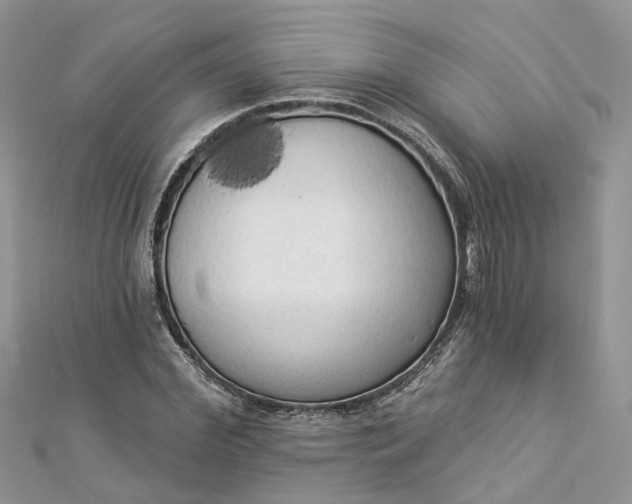 X0000112820972200909041511