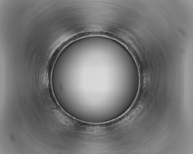 X0000112820973200909041511