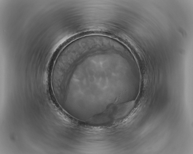 X0000112820975200909041511