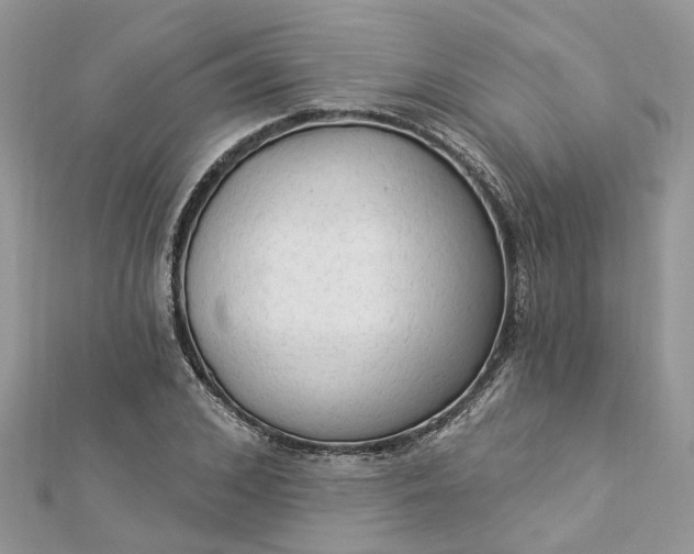 X0000112820976200909041511