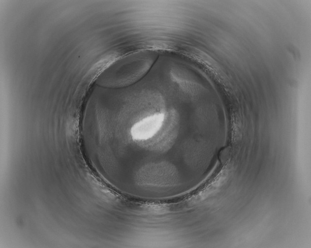 X0000112820977200909041511