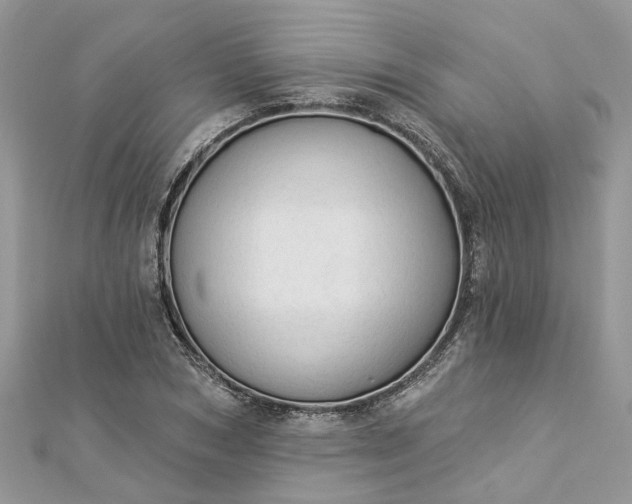 X0000112820978200909041511