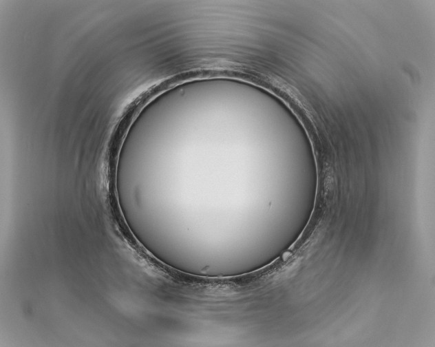 X0000112820979200909041511