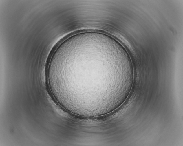 X0000112820980200909041511