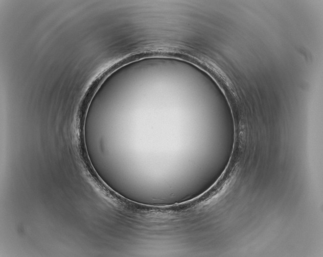 X0000112820981200909041511