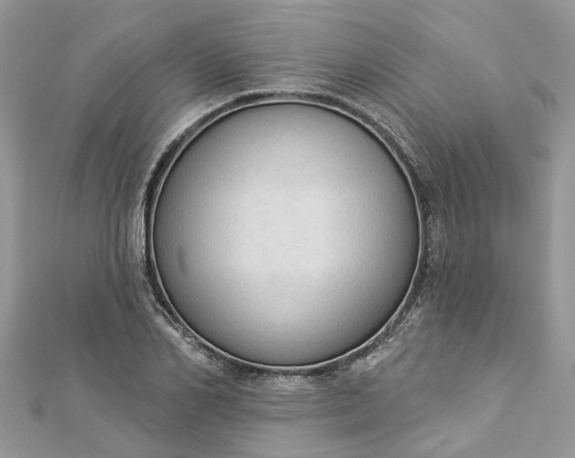 X0000112820982200909041511