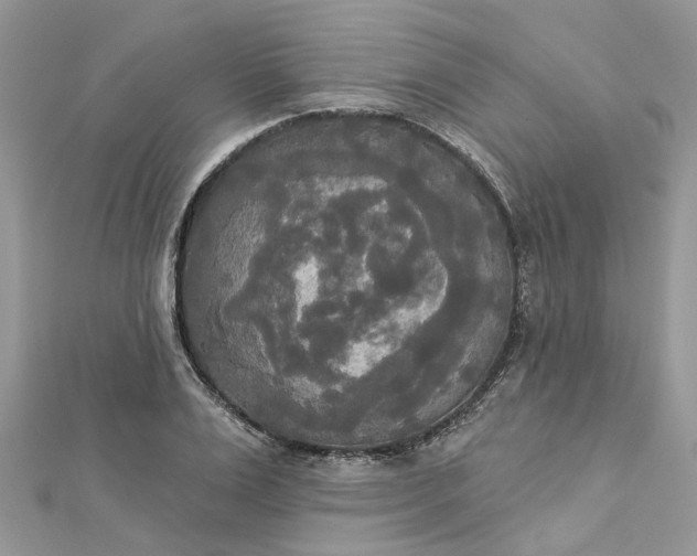 X0000112820983200909041511