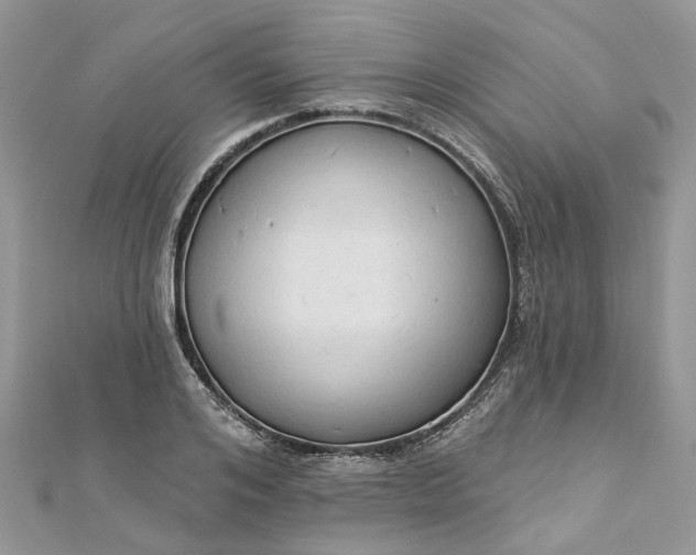 X0000112820984200909041511