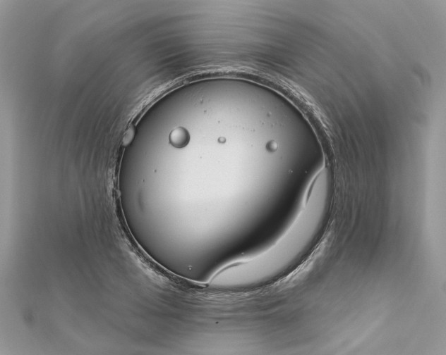 X0000112820985200909041511