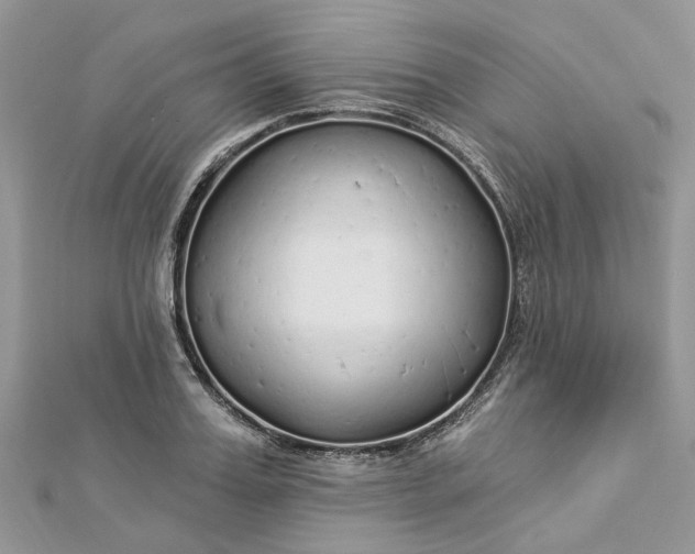 X0000112820987200909041511