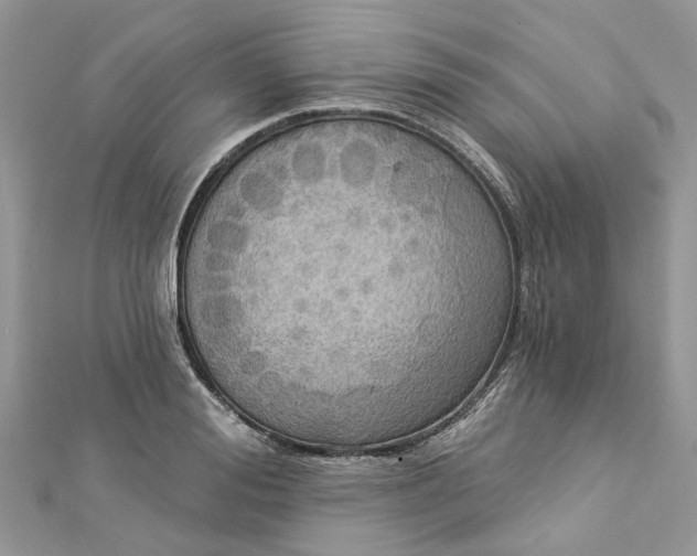 X0000112820988200909041511