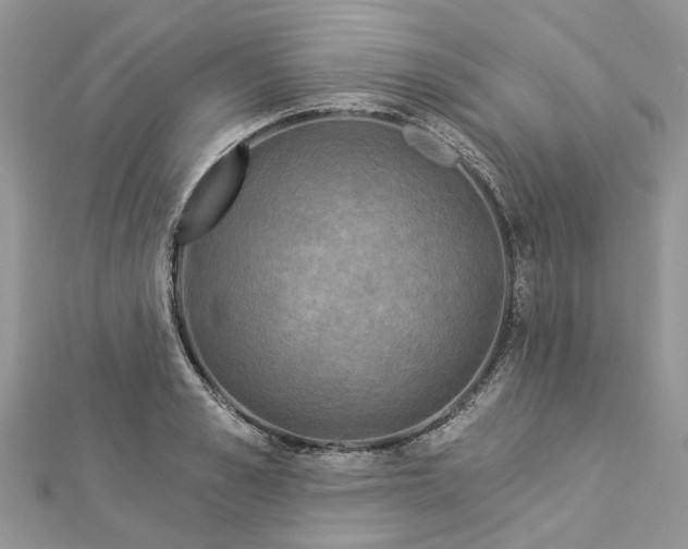 X0000112820989200909041511