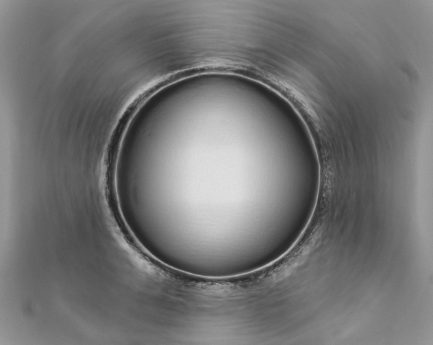 X0000112820991200909041511