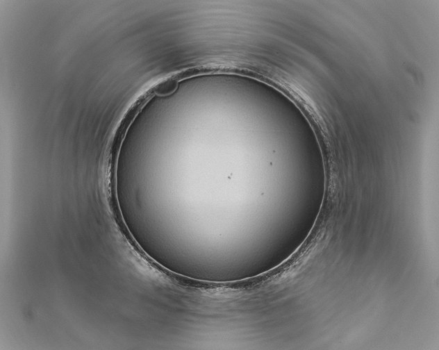 X0000112820992200909041511