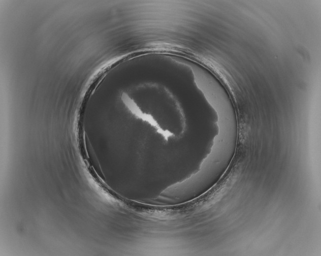 X0000112820995200909041511