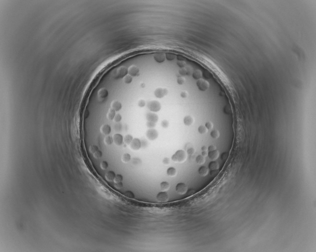 X0000112820996200909041511