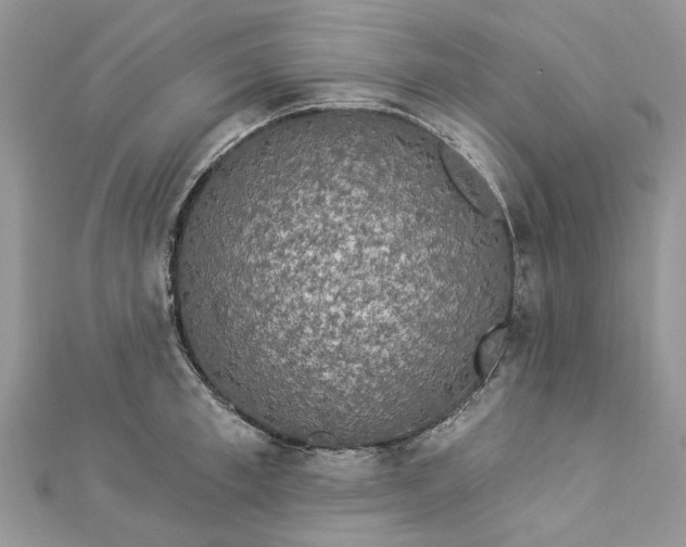 X0000112820997200909041511