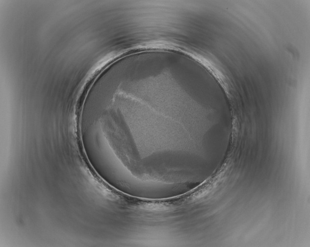 X0000112820998200909041511