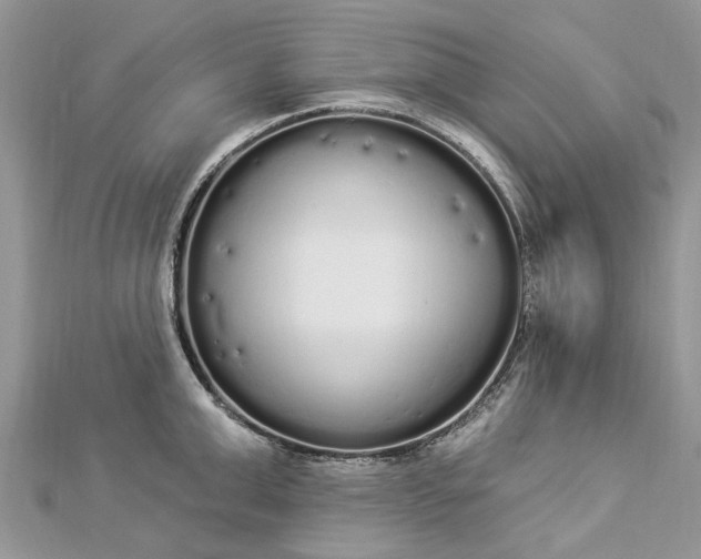 X0000112820999200909041511