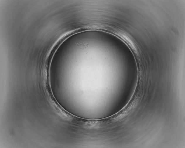 X0000112821000200909041511