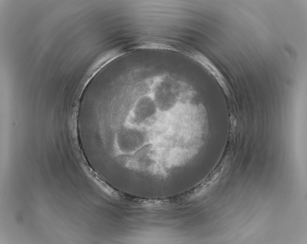 X0000112821002200909041511