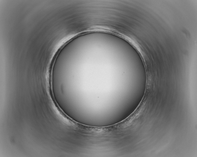 X0000112821003200909041511