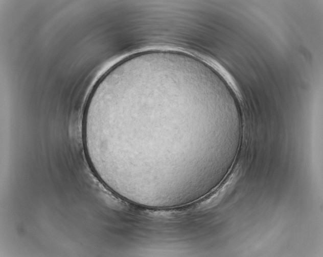 X0000112821004200909041511