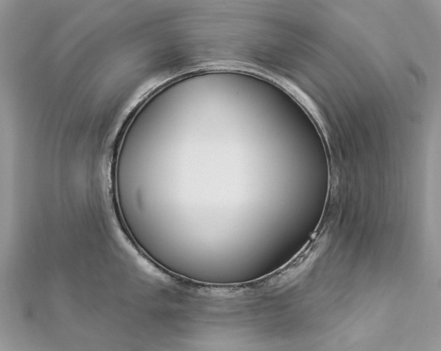 X0000112821005200909041511