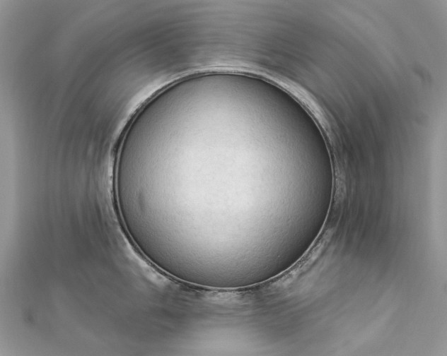 X0000112821006200909041511