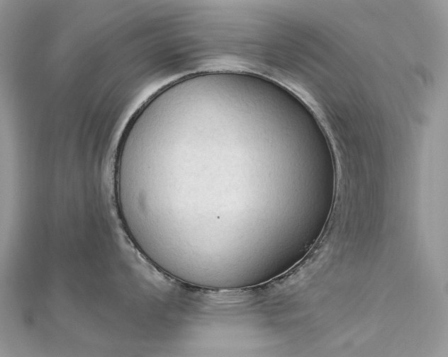 X0000112821008200909041511