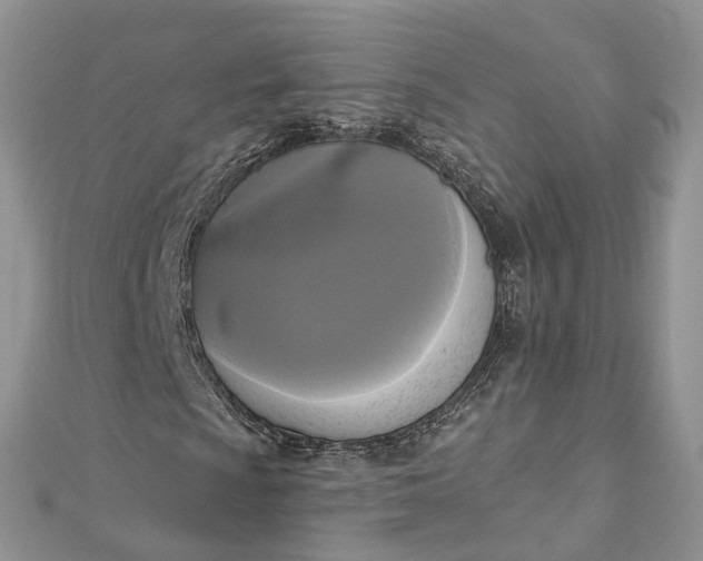 X0000112821009200909041510