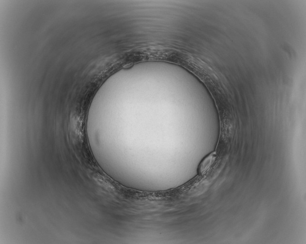 X0000112821010200909041510