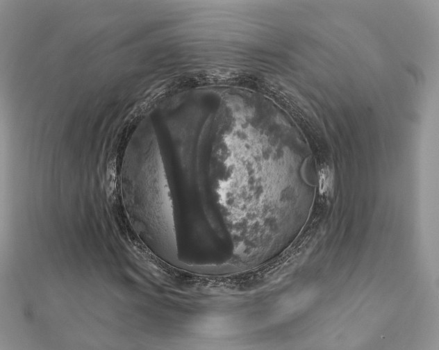 X0000112821011200909041510