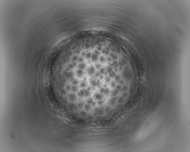 X0000112821014200909041510