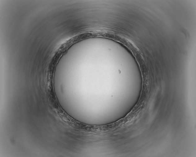 X0000112821016200909041510